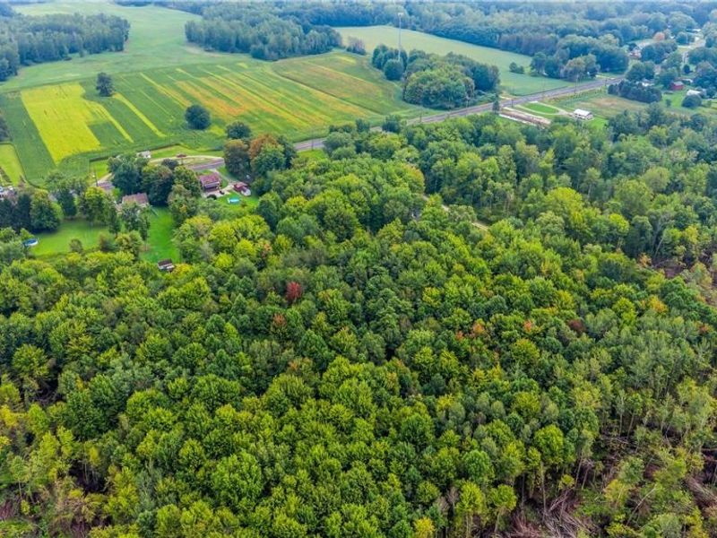 E View Drive, North Kingsville, OH 44030 Photo 6