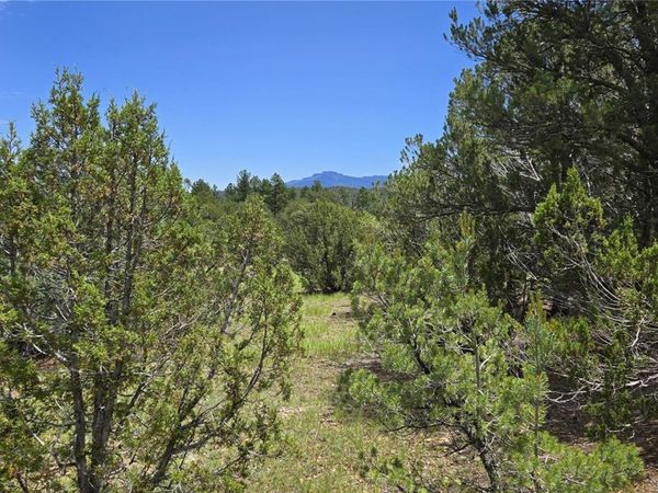 20 Colorado Mountain Lake Estates , Trinidad, CO 81082