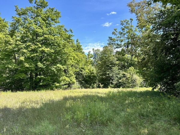 V/L Tank Trail, Johannesburg, MI 49751