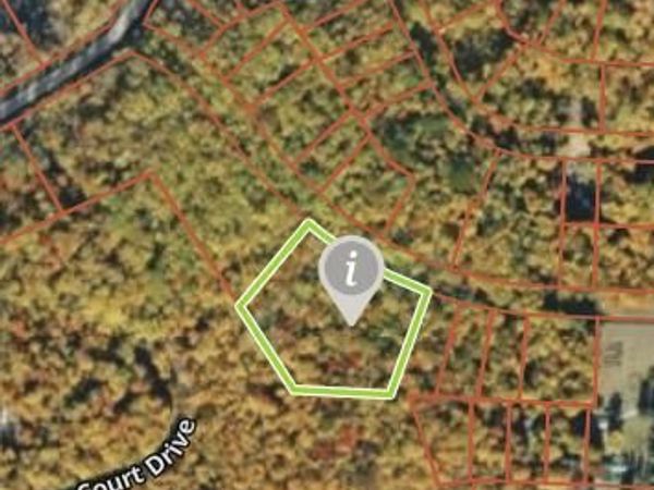 15119 Promenade Des Skieurs, Wolverine, MI 49799
