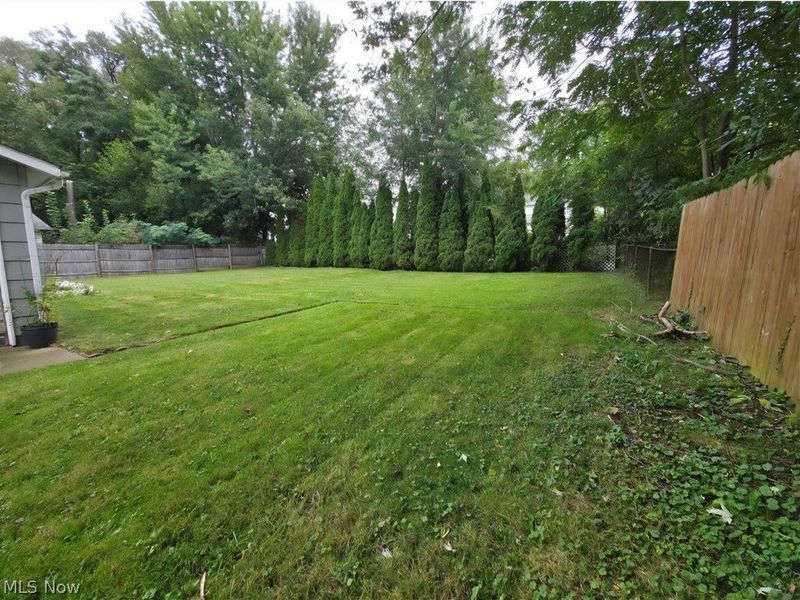 645 Sanford Avenue, Akron, OH 44305 Photo 4