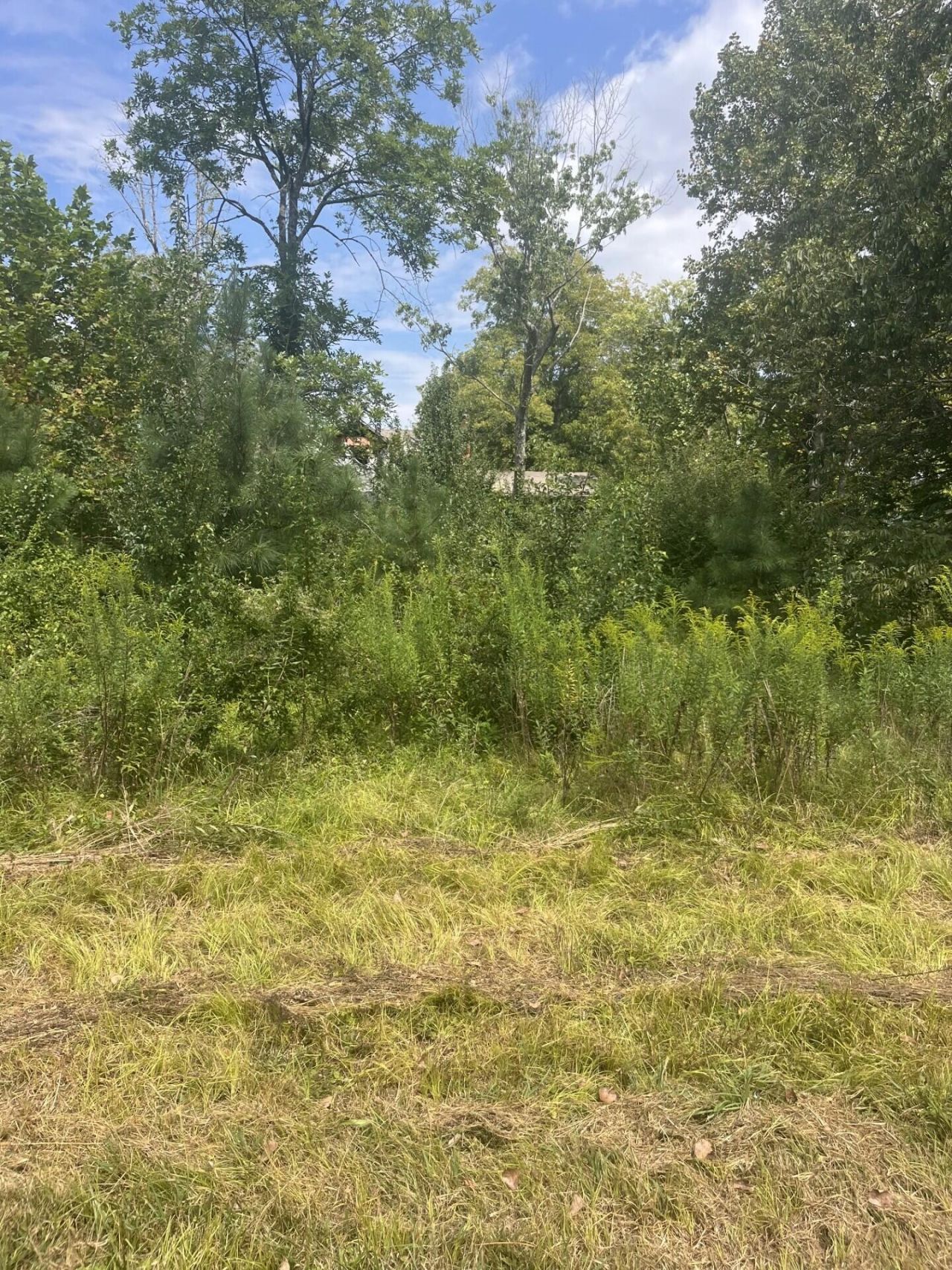 2460 Prospect School Road Cleveland, TN 37312