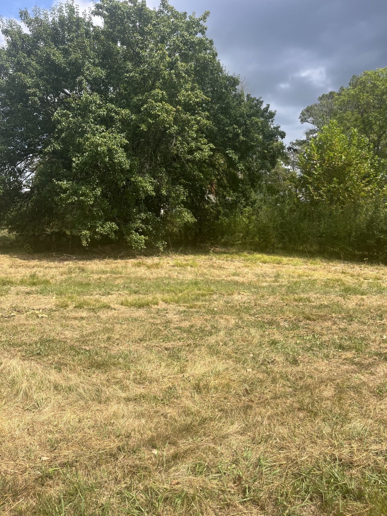 0 New Murraytown Road Nw, Cleveland, TN 37312 Main Photo