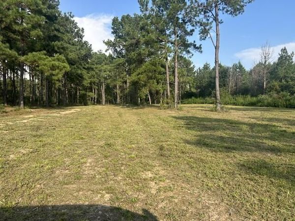 00 New Hope Rd, Sandy Hook, MS 39478