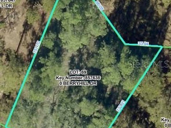 BERRYHILL DRIVE , WEBSTER, FL 33597