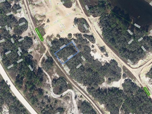 317 Summer Hill Dr , Lake Placid, FL 33852