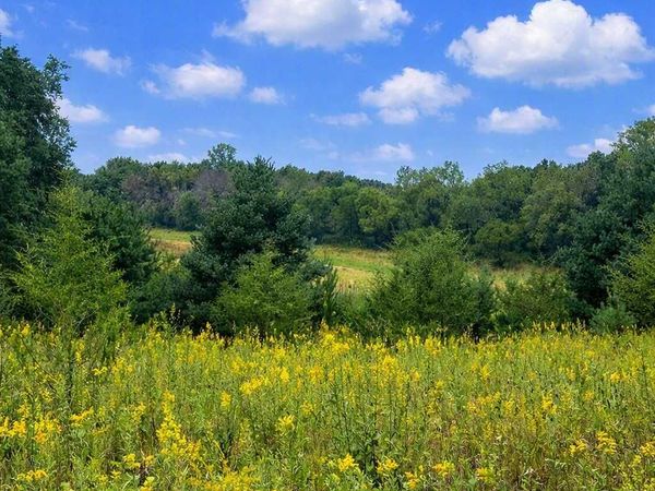 xxxx Jeffrey Boulevard , Grant, MN 55082