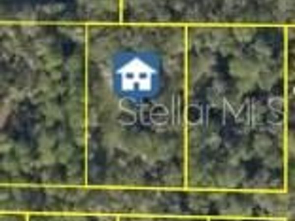 PINON DRIVE , WEBSTER, FL 33597