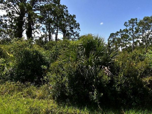 DE MIRANDA AVENUE , NORTH PORT, FL 34287