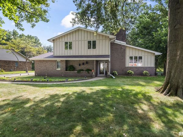 58 Meander Pike, Chatham, IL 62629