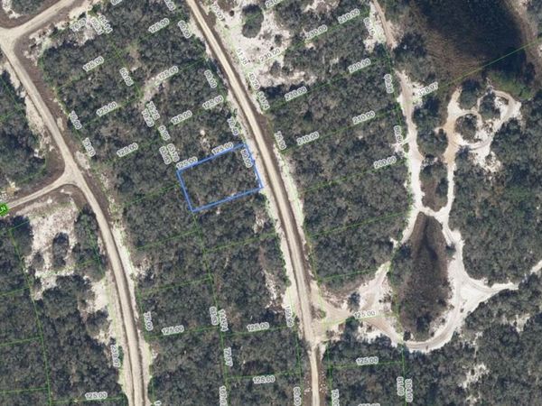 252 Crystal Lake Dr , Lake Placid, FL 33852