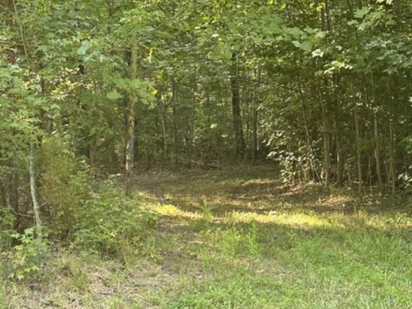 0 SHILOH CHURCH ROAD, NEWBURG, MD 20664
