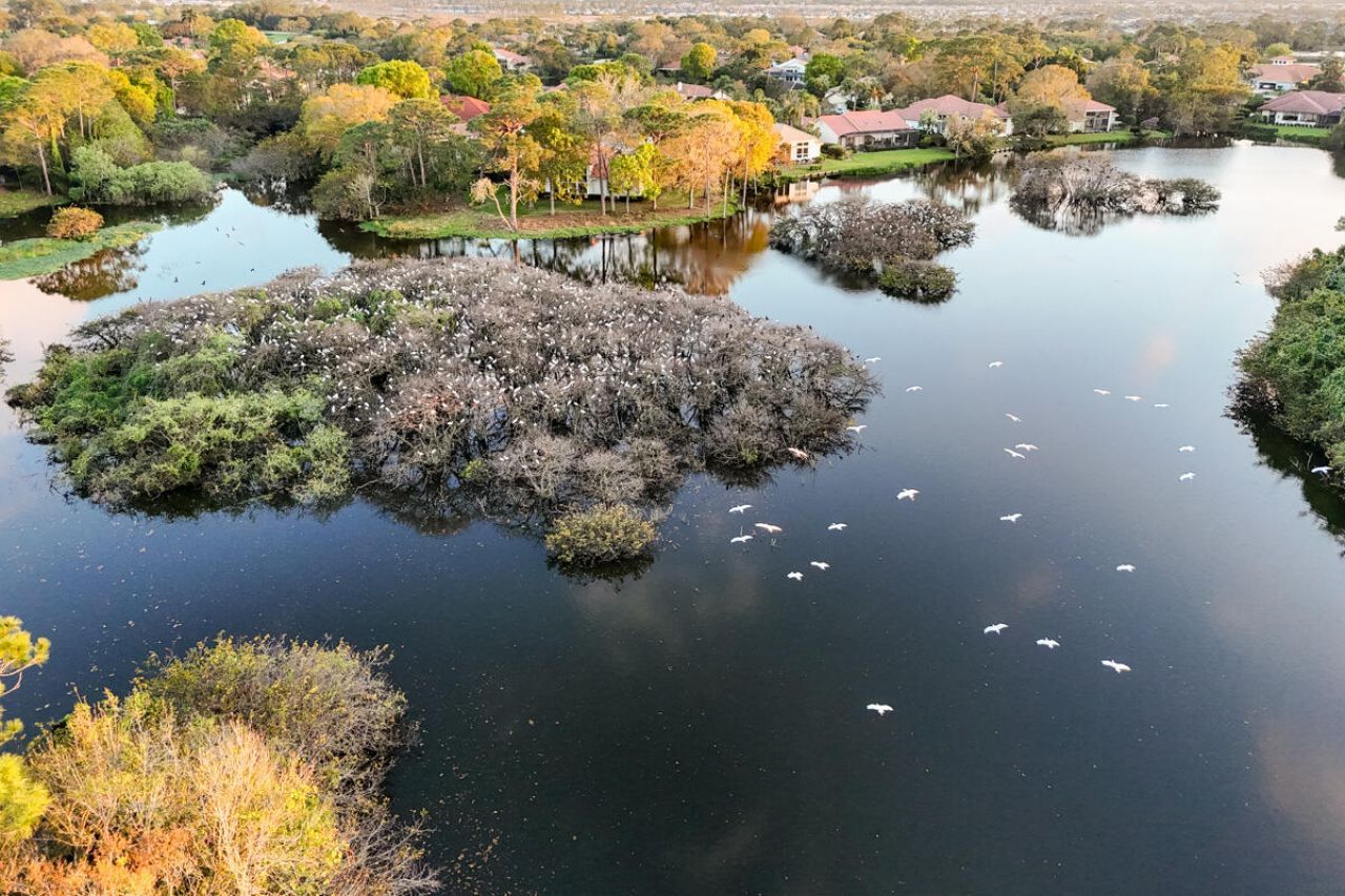 13008 Harbour Ridge Boulevard, Palm City, FL 34990 Photo