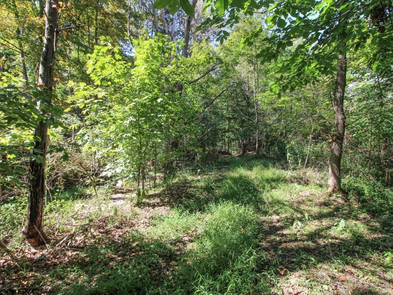 62319 Glencoe Road, Belmont, OH 43718 Photo 11