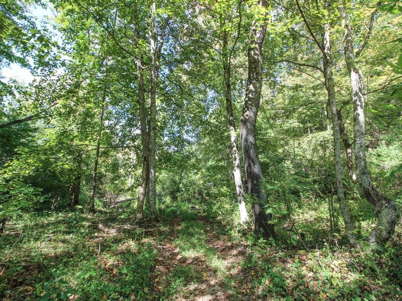62319 Glencoe Road, Belmont, OH 43718 Photo 12