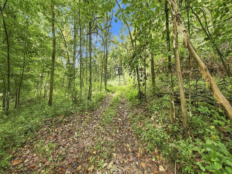 62319 Glencoe Road, Belmont, OH 43718 Photo 14