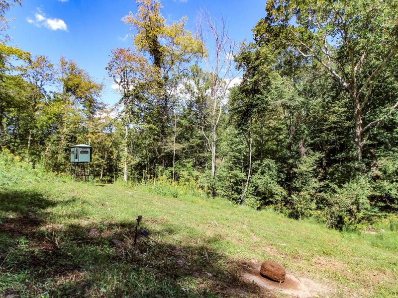 62319 Glencoe Road, Belmont, OH 43718 Photo 16