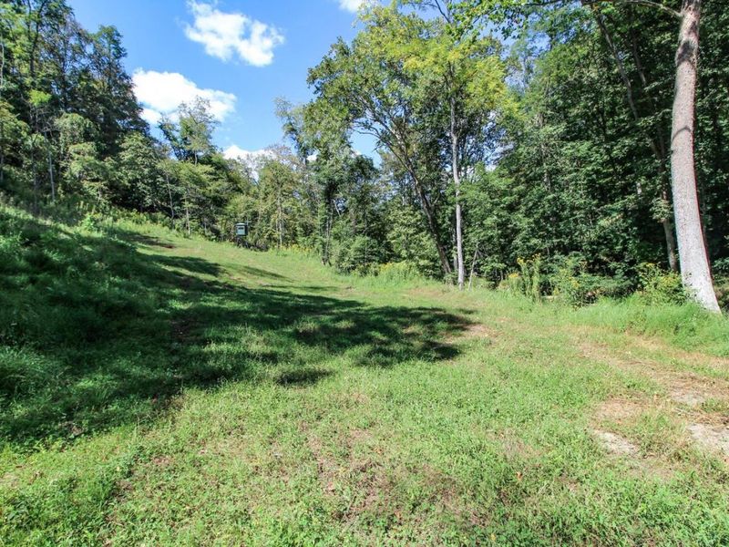 62319 Glencoe Road, Belmont, OH 43718 Photo 17