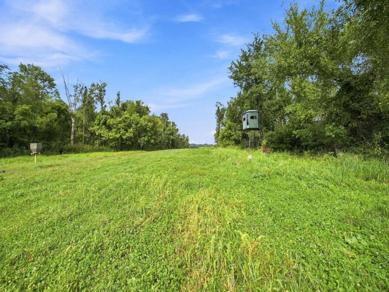 62319 Glencoe Road, Belmont, OH 43718 Photo 27