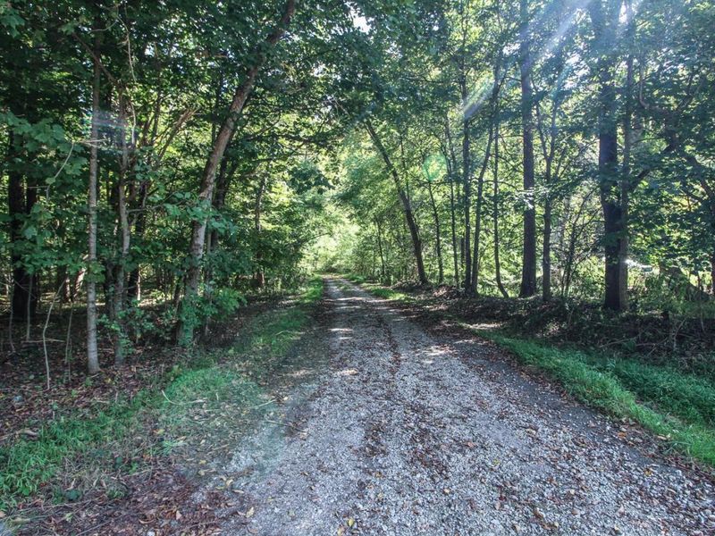 62319 Glencoe Road, Belmont, OH 43718 Photo 7