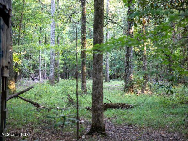 Owen Boone Rd , Puckett, MS 39042