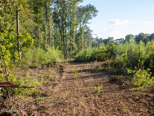 Owen Boone Rd , Puckett, MS 39042