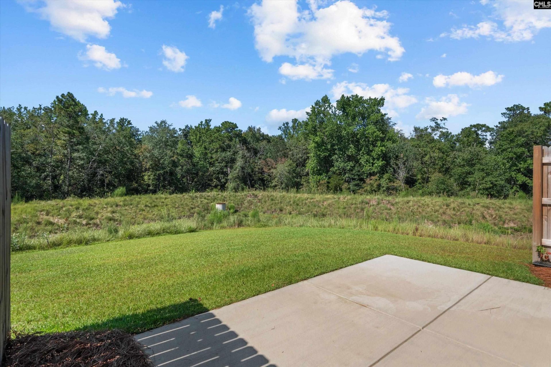 231 Flatsedge Court Photo 28