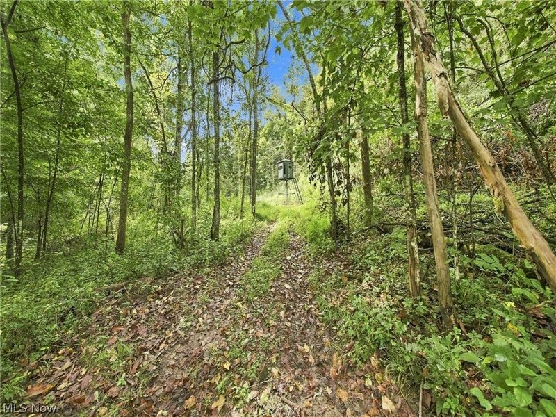 62319 Glencoe Road, Belmont, OH 43718 Photo 14
