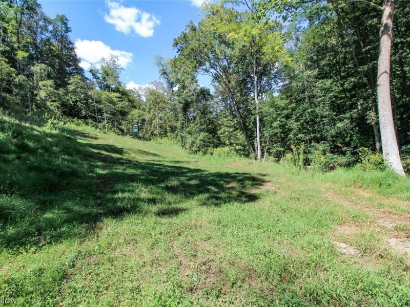 62319 Glencoe Road, Belmont, OH 43718 Photo 17