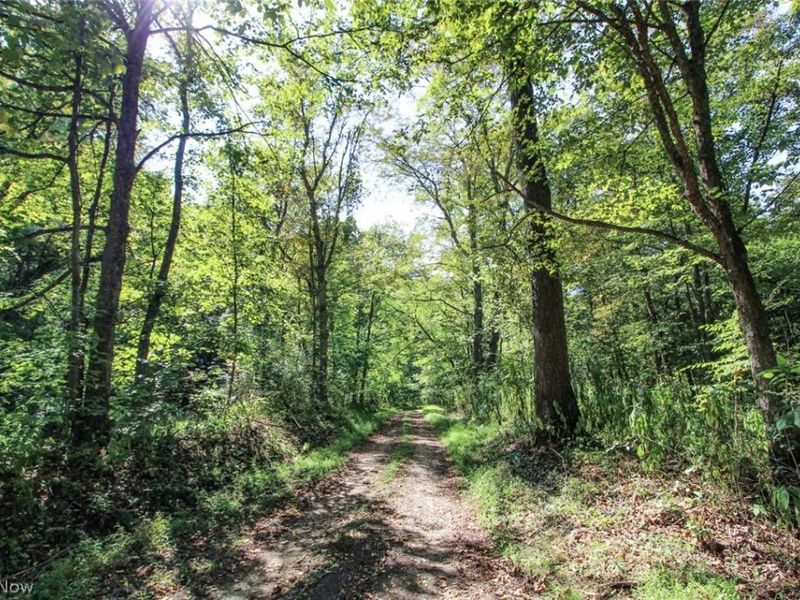 62319 Glencoe Road, Belmont, OH 43718 Photo 18