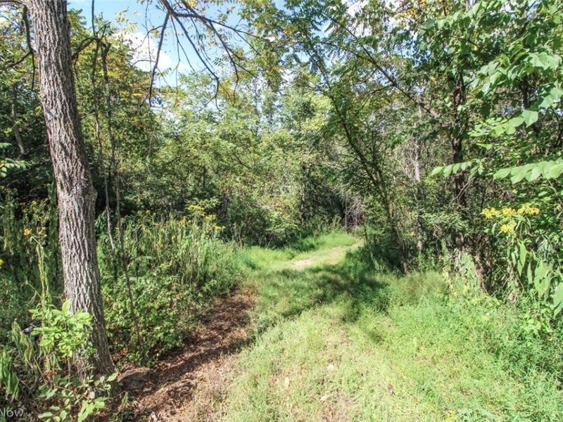 62319 Glencoe Road, Belmont, OH 43718 Photo 19