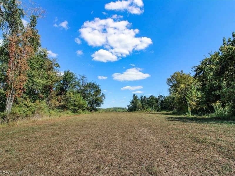 62319 Glencoe Road, Belmont, OH 43718 Photo 26