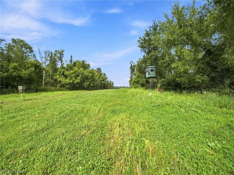 62319 Glencoe Road, Belmont, OH 43718 Photo 27