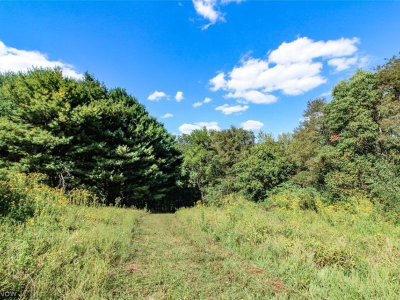 62319 Glencoe Road, Belmont, OH 43718 Photo 38