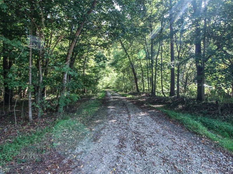 62319 Glencoe Road, Belmont, OH 43718 Photo 7