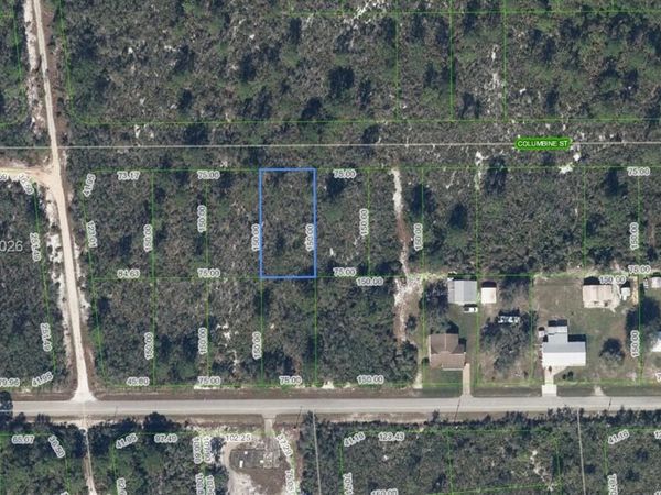 1507 Columbine St, Lake Placid, FL 33852