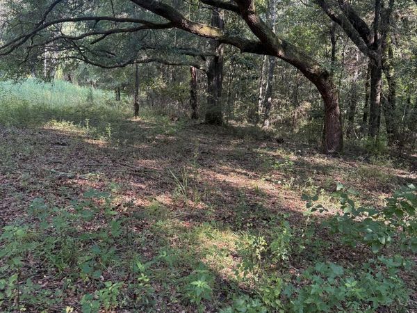 0 Jacob Road , Cottondale, FL 32431