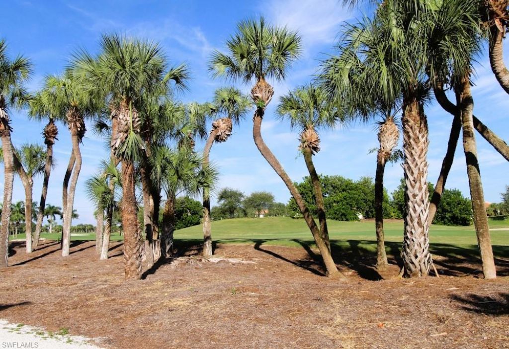 16500 Kelly Cove Dr, Unit 2875, Fort Myers, FL 33908 Photo