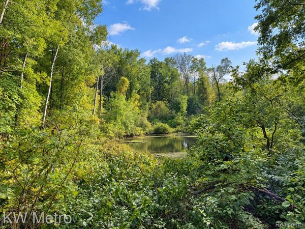 VL Sister Lake Road, Marathon Township, Mi 48464