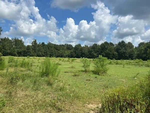 0 Cody Driskell Road , Irvington, AL 36544