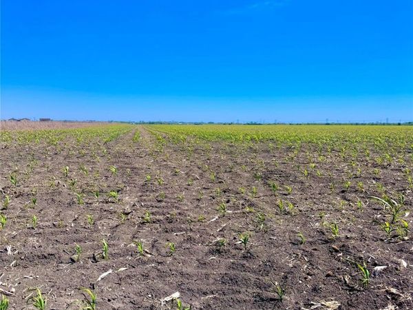 TBD Tract 4 Lund Carlson RD , Coupland, TX 78615
