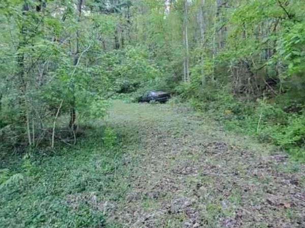 217 Coal Chute Road, Elizabethton, TN 37643