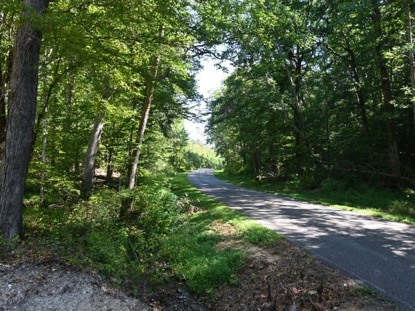 1738 Swindle Creek Rd , Unit 1, Linden, TN 37096