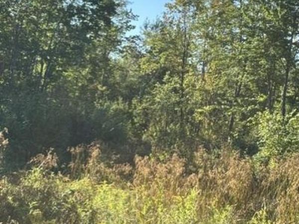 Map2 Lot30 Weeman Road , Detroit, ME 04929