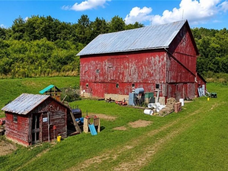 552 County Road 2575, Loudonville, OH 44842 Photo 31