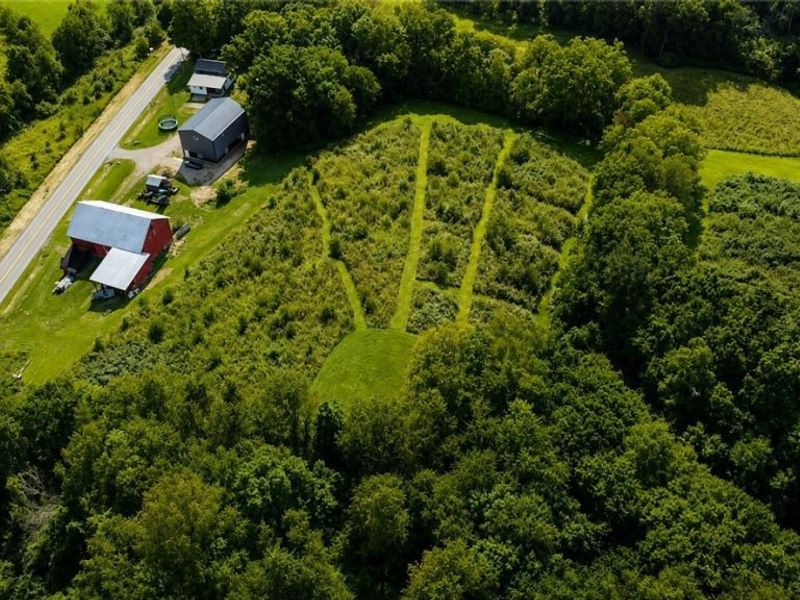 552 County Road 2575, Loudonville, OH 44842 Photo 42