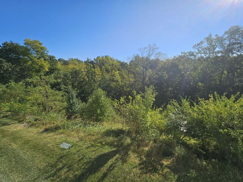 2320 Paragon Mill Drive, Unit 203, Burlington, KY 41005 Photo 43