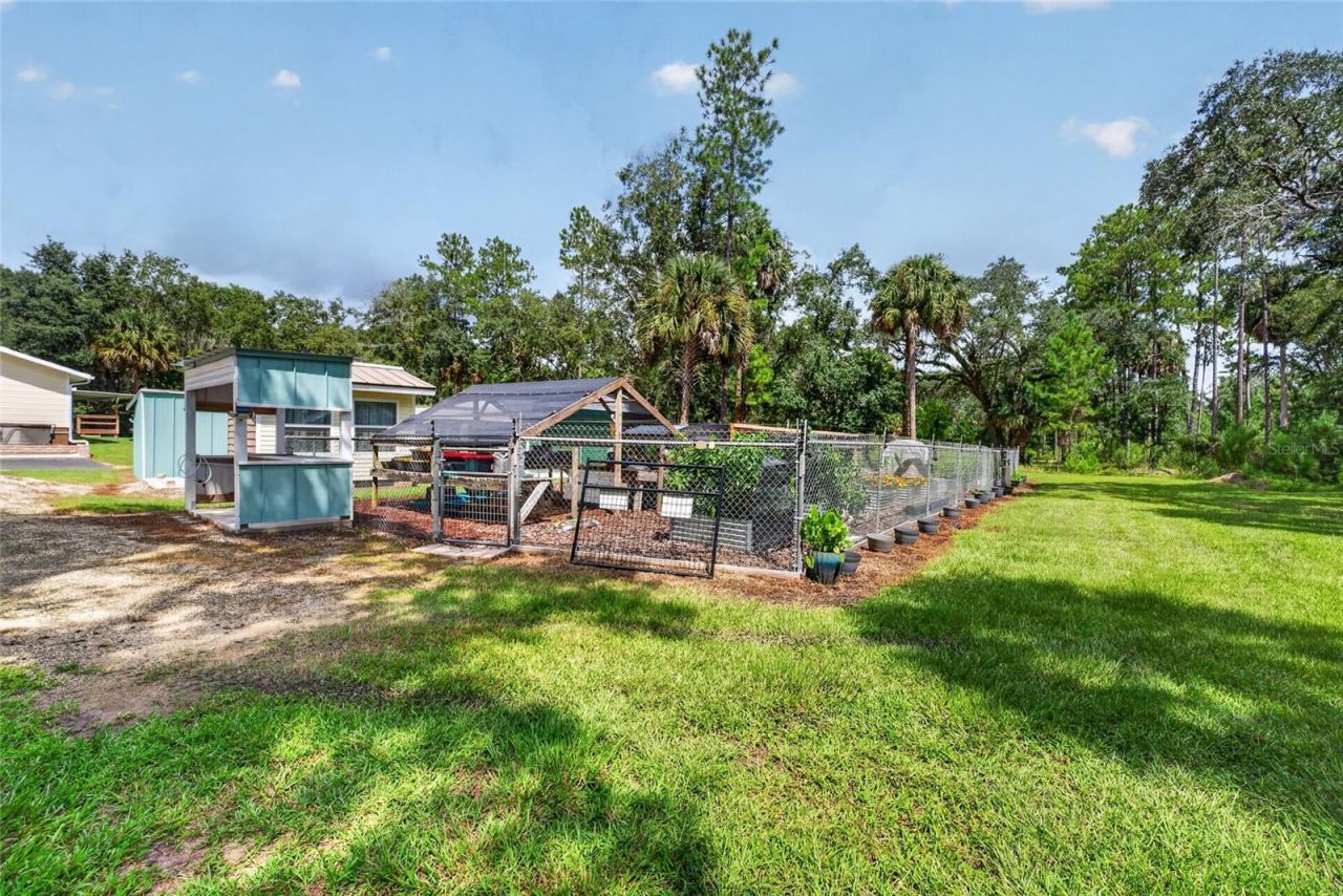 12151 NE 52nd Place Road, Silver Springs, FL 34488 Photo