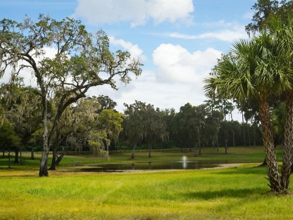 NW 160TH STREET , REDDICK, FL 32686