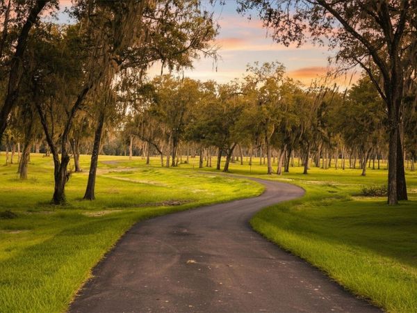 NW 160TH STREET , REDDICK, FL 32686